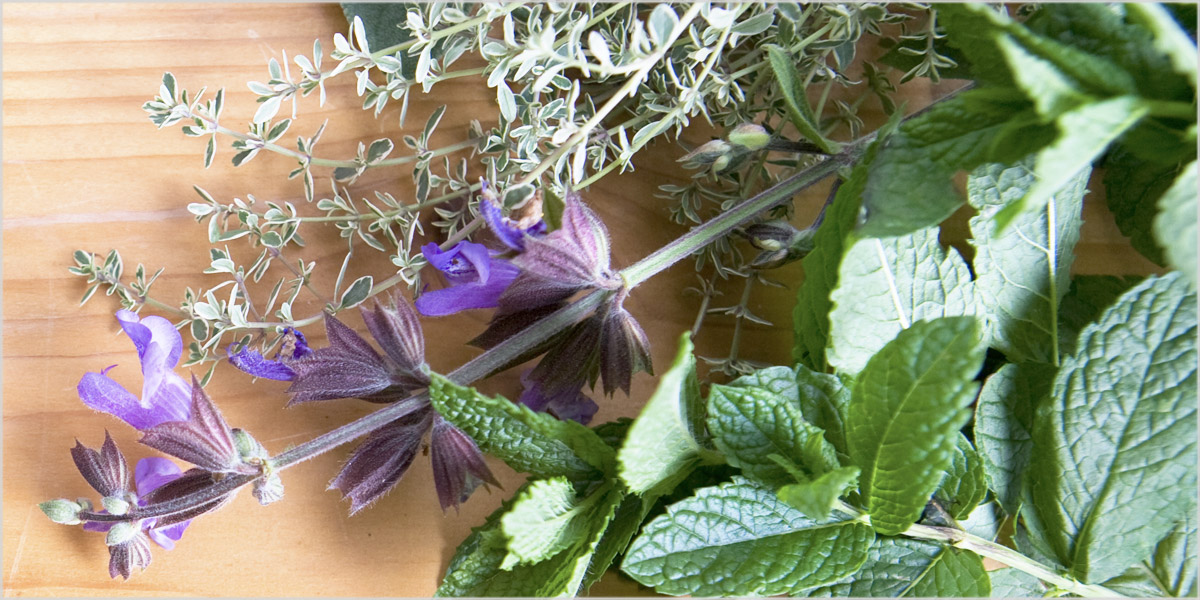 Naturheilverfahren - Phytotherapie | Petra Kilian | Praxis für Integrative Osteopathie, Sporttherapie und Naturheilverfahren München-Nymphenburg